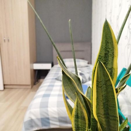 Elena Lägenhet Rivne Exteriör bild