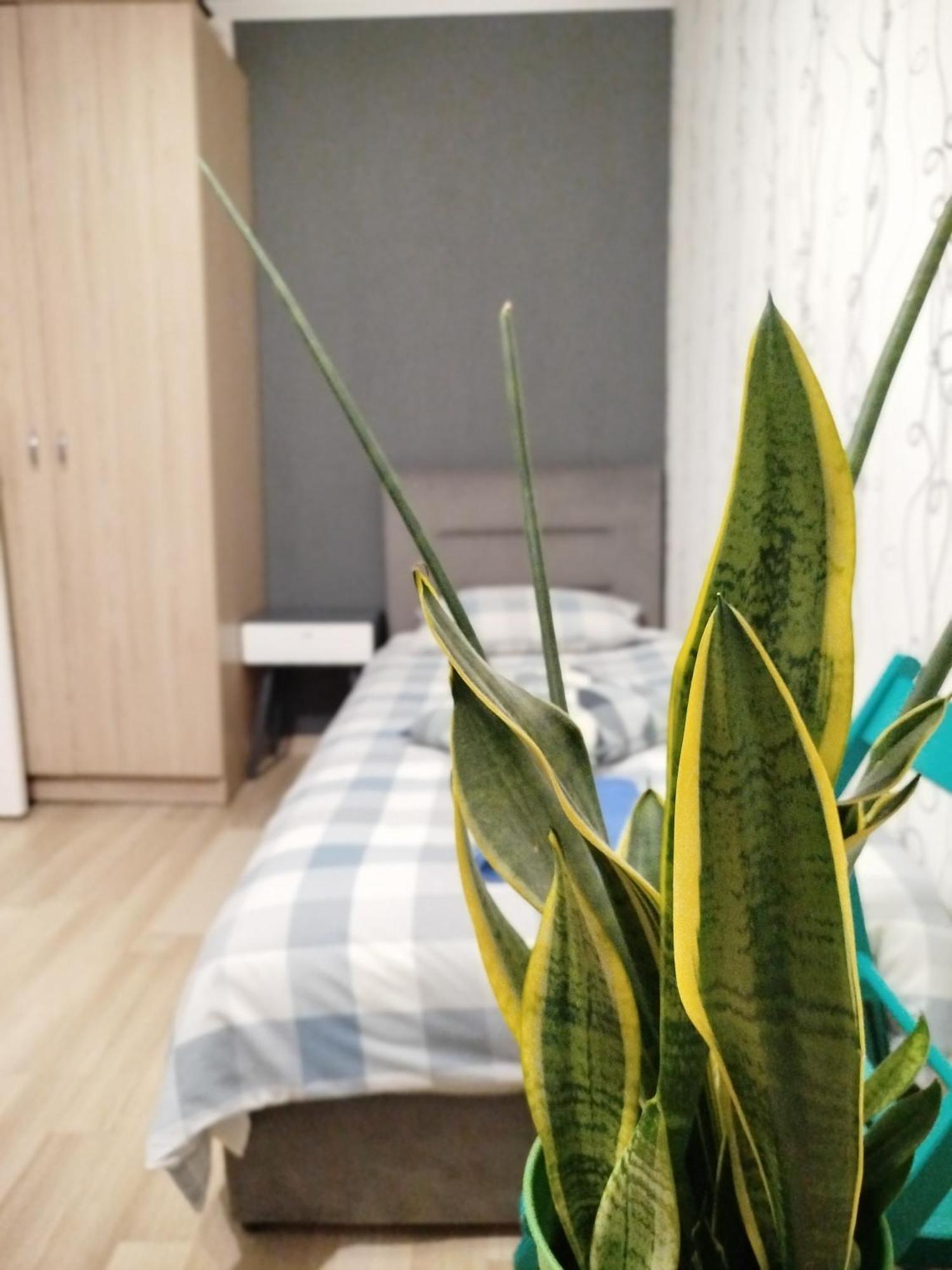 Elena Lägenhet Rivne Exteriör bild